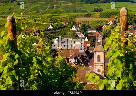 Early morning overlooking village of Riquewihr, along the Wine Route, Alsace Haut-Rhin France Stock Photo