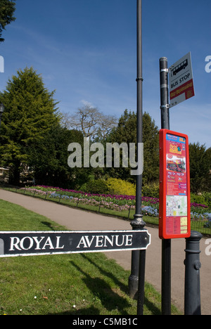 Bus stop on Royal Avenue Royal Victoria Park, Bath Somerset UK Stock Photo