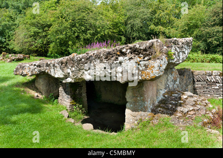 Tinkinswood largest megalith neolithic burial site chamber neolithic Cowbridge South Wales UK Stock Photo