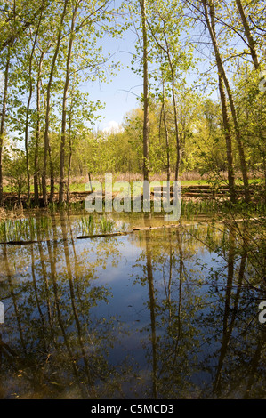 A pond at Father Pandosy Mission in Kelowna, Canada Stock Photo