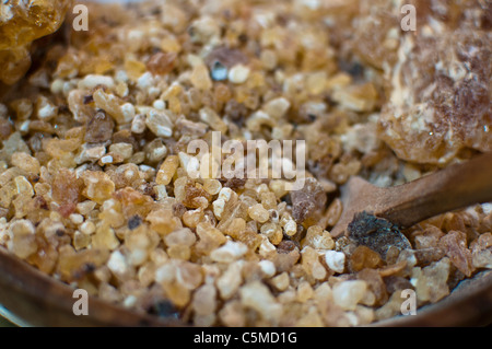 Resin of Somalia or Arabic frankincense, Boswellia sacra Stock Photo