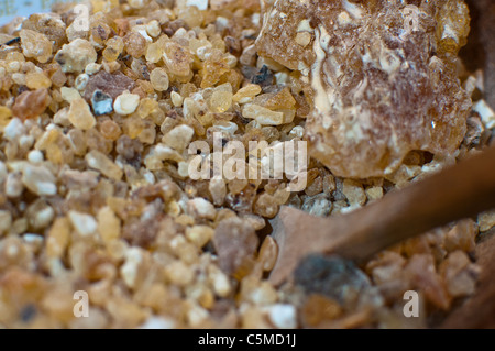 Resin of Somalia or Arabic frankincense, Boswellia sacra Stock Photo