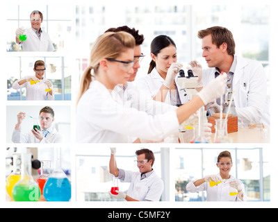 Collage of several scientists doing experiments Stock Photo