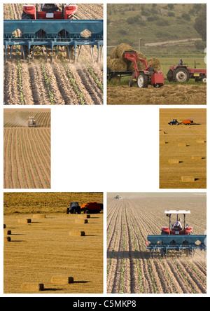 Collage of Farmer with tractor Stock Photo