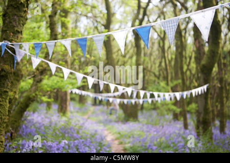 Vintage bunting in Dorset bluebell woodland, England, UK Stock Photo