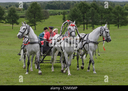 Russian Troika driving competitions in Moscow Stock Photo