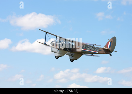 De Havilland DH89A Dragon Rapide G-AGJG in flight Stock Photo