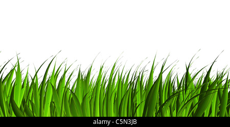 green grass isolated on white background Stock Photo - Alamy