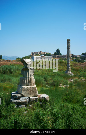 Artemis temple ruins of Ephesus, one of the seven wonders in the world ...