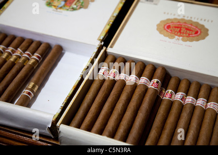 A selection of boxed Cuban cigars for sale in a cigar factory souvenir shop Havana Cuba Stock Photo