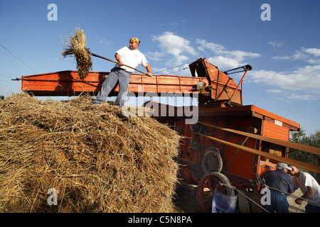 A vintage threshing machine in action at a countryside show at Pianella in Italy. Stock Photo