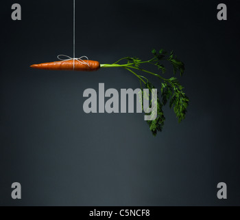 A carrot dangling on a string Stock Photo