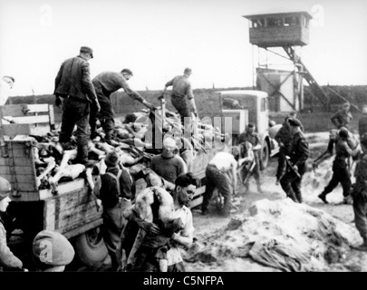 Cadavers in the concentration camp at Belsen, 1945 Stock 