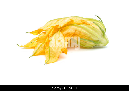 Single Courgette Single Courgette isolated on white Stock Photo - Alamy