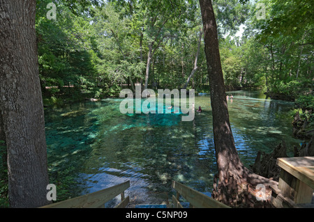 Ginnie Springs along the Santa Fe River in North Central Florida Stock ...