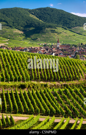 Village of Ammerschwihr surrounded by vineyards of the Grand Cru along the Wine Route, Alsace Haut-Rhin France