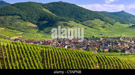 Village of Ammerschwihr surrounded by vineyards of the Grand Cru along the Wine Route, Alsace, Haut-Rhin, France