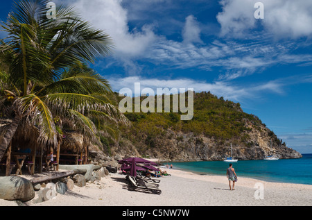 Shell Beach in Gustavia on St. Barts Stock Photo