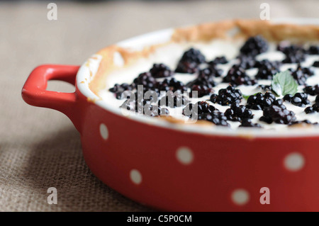Blackberry tarte Stock Photo