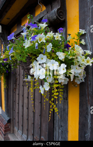 Hanging baskets Timber frame house Ludlow Door Doorway Stock Photo