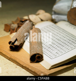 Dried medicinal herbs and ancient book Stock Photo