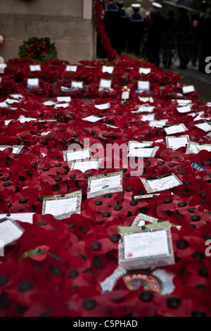 The sea of poppy wreaths laid in front of the Cenotaph in Whitehall on Remembrance Day. Stock Photo