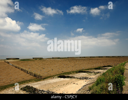 Dengie Peninsula sea defences made from old WWII barges. Stock Photo