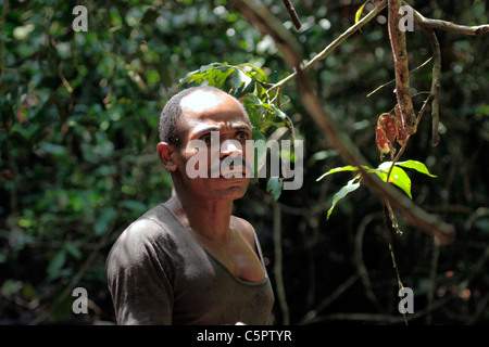 Dzanga Ndoki National Park, SW Central African Republic Stock Photo