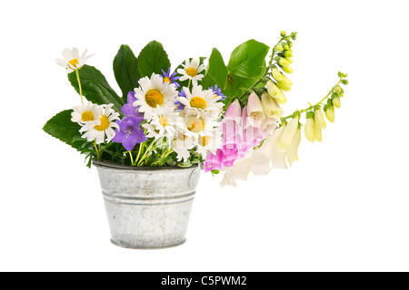 Purple Foxglove flower and white daisies and other wild flowers in bucket Stock Photo