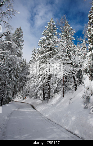 Snow covers a highway near Yosemite National Park, California, United States of America Stock Photo