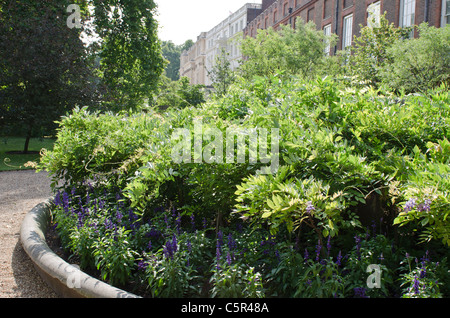 Clarence House garden The Mall Westminster London Uk Stock Photo