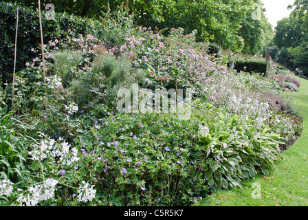 Summer border Clarence House garden The Mall Westminster London Uk Stock Photo