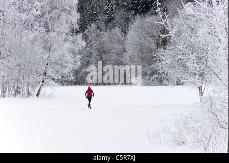 A jogging runs through a snowy forest. Stock Photo