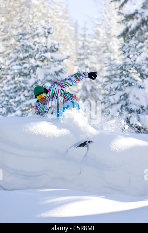 A snowboarder rides deep fresh powder snow through a forest. Stock Photo