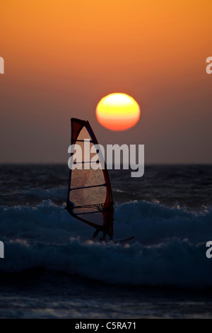 A windsurfer rides the ocean waves at sunset. Stock Photo