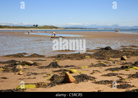 Llanbedrog, Lleyn Peninsula, Gwynedd, North Wales, UK. Holidaymakers on sandy beach in Cardigan Bay at low tide in summer Stock Photo