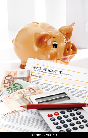 Piggy bank, energy pass, pocket calculator and euro notes, close-up Stock Photo