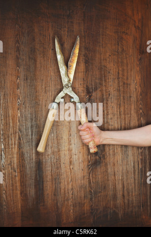 Man holding old manual hedge trimmer in front of wooden background. Stock Photo