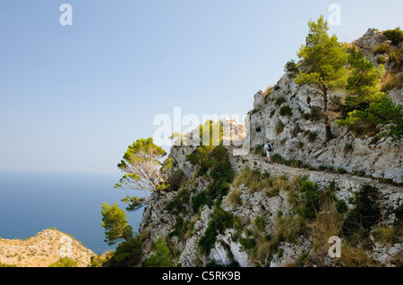 Hikers at the Coll Baix on the Alcudia peninsula, Majorca, Spain, Europe Stock Photo
