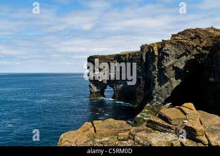 dh Scabra Head ROUSAY ORKNEY Rousay seacliffs and natural sea arch coastal scotland Stock Photo