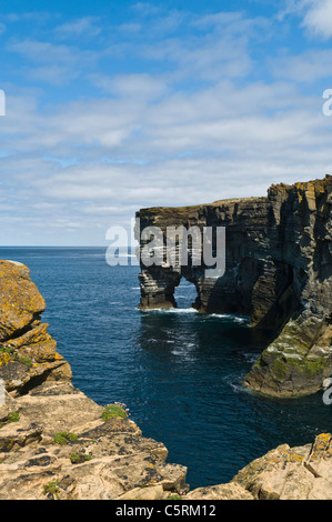 dh Scabra Head scotland ROUSAY ORKNEY Seacliffs and natural sea arch cliff coastal erosion cliffs stack coast Stock Photo