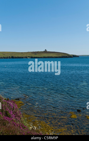 dh Stanger Head FLOTTA ORKNEY Flotta south coast and wartime battery ruins Stock Photo