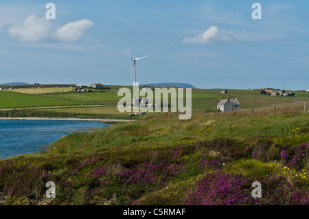 dh Kirk Bay FLOTTA ORKNEY Scottish landscape Flotta south coast village wind turbine windturbine gb uk Stock Photo