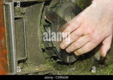 man cleaning out lawnmower after mowing grass Stock Photo
