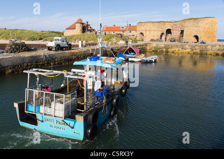 When the boat comes home - a small fishing boat returns with its catch (mackerel) on a summer evening to Beadnell Northumberland Stock Photo