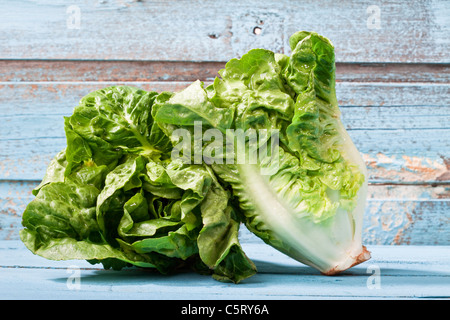Close up of mini romaine lettuce Stock Photo