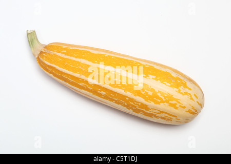 A yellow Italian Marrow Stock Photo