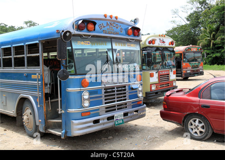 Former US school buses now in public service in San Ignacio, Cayo, west Belize, Central America Stock Photo