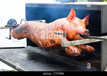 Whole pig on spit being roasted Stock Photo