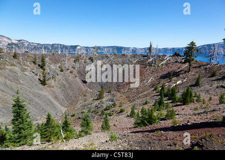 Rim of the caldera on Wizard Island, Crater Lake Oregon USA Stock Photo